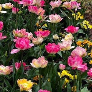 Meet your Posher, Cathy